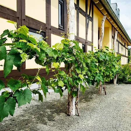 بيت ضيافة Quartier Rautenstock Gbr 3*