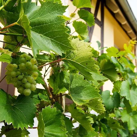 Quartier Rautenstock Gbr Doberlug-Kirchhain