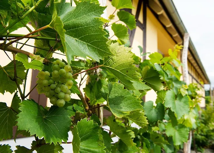 Quartier Rautenstock Gbr Doberlug-Kirchhain